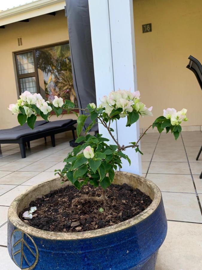 Sole'S Leap Villa Scottburgh Kültér fotó