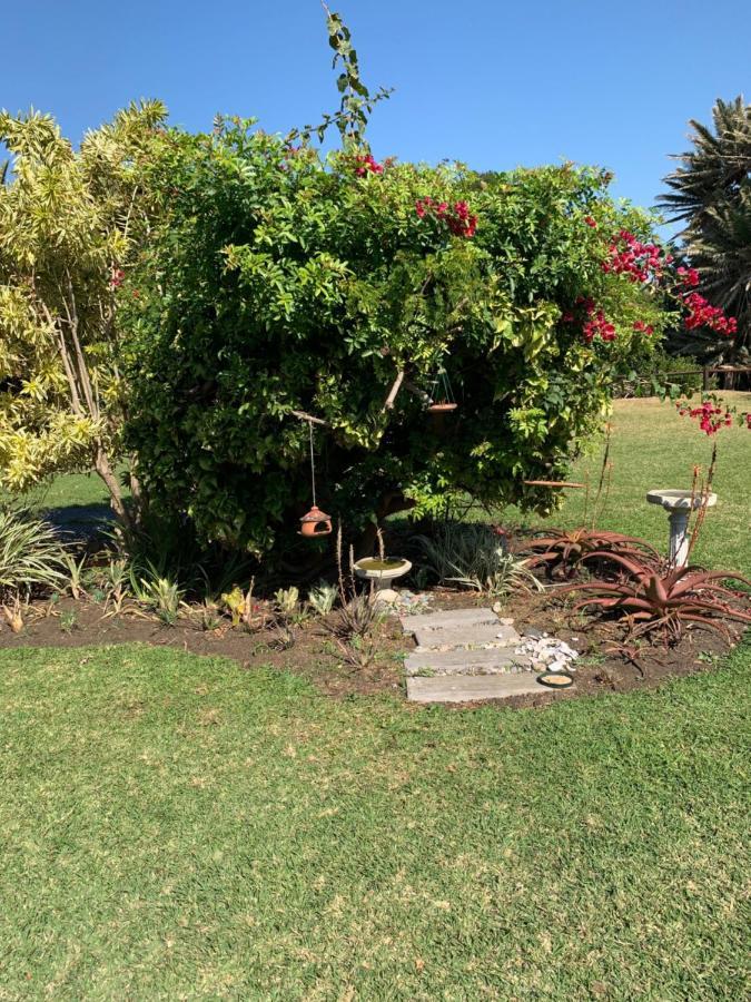 Sole'S Leap Villa Scottburgh Kültér fotó