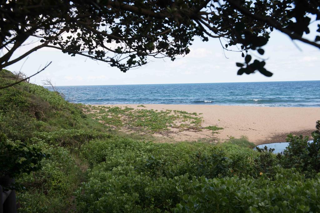 Sole'S Leap Villa Scottburgh Kültér fotó